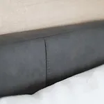 Alina